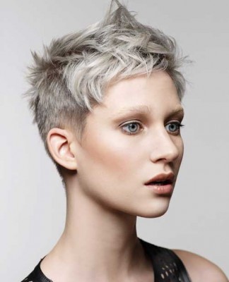 20+ Pixie Haircut for Gray Hair | Pixie Cut - Haircut for 2019