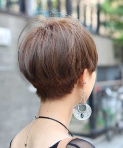 Back Pictures of Pixie Haircuts Ideas