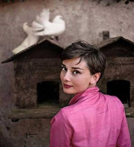 Best Audrey Hepburn Pixie Cut